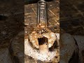 Satisfying Pipe Wrench Restoration in 4K  #asmr #rustremoval #shorts