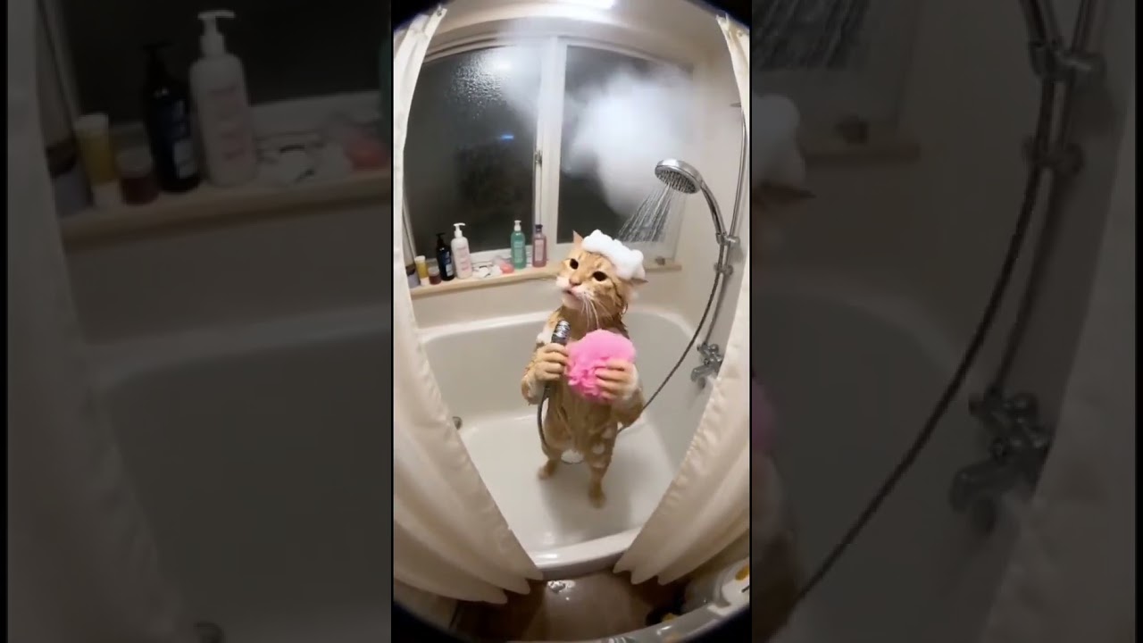 funniest AI cat video by Far 😂 