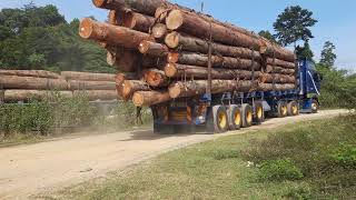 Timber jinker | lori balak malaysia