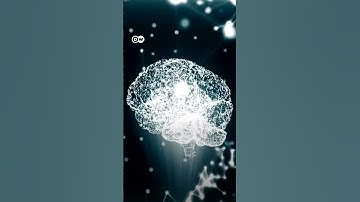 DishBrain: Start-up grows "mini-brain" in a dish