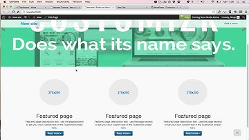 How to use the WordPress Customizer