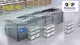 Automated Put Wall 3D Sorter