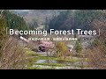 「Becoming Forest Trees」日本初の樹木葬・知勝院と自然再生（2019）