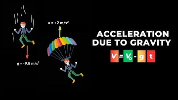 Kinematics and Acceleration Due to Gravity: The Mechanics of Falling Objects | Class 11 Physics