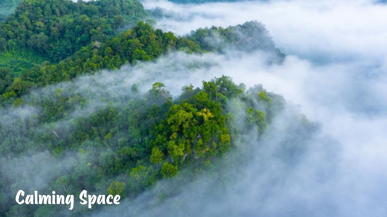 Calm Your Mind and Relax with This Beautiful Piano ☢ Calming Space