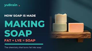 How Is Soap Actually Made The Saponification Reaction