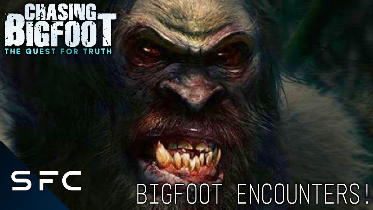 Bigfoot Encounters | Chasing Bigfoot: The Quest for Truth | E2