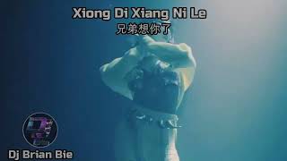 Xiong Di Xiang Ni Le 兄弟想你了 Remix By Dj Brian Bie Tiktok Hot Song Douyin