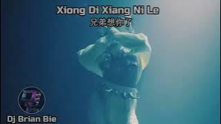 Xiong Di Xiang Ni Le 兄弟想你了 Remix By Dj Brian Bie Tiktok Hot Song Douyin