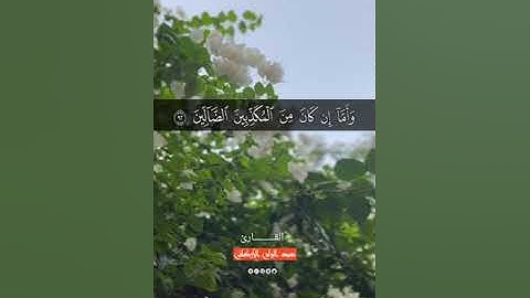 سورة الواقعة🌾تلاوة جميل🕊 فاما إن كان من المقربين فروح وريحان وجنه نعيم واما ان كان من اصحاب اليمين