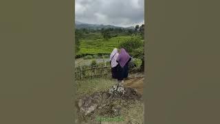 Pemandangan Alam Bumi Pasundan