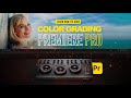 Unlock the Secrets of Color Grading in Premiere Pro (EASY)