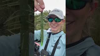 The New Fuzzy Senko @Yamamotobaitsvideos #fishing #bassfishing #fishinglures #senko
