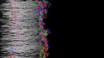 Procedural Plant Generation/ Animation Test with Blender 3.0 Geometry Nodes