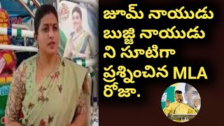 ఎల్జీ పాలిమర్స్ ఘటన భాద్యుడు చంద్రబాబే | MLA Roja fires on cbn over LG Polymers accedent