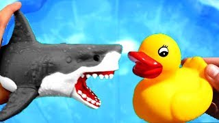 Learn Colors With Sea Wild Animals and Animal Names | Pool Water Colors For Kids | Kids Video P74