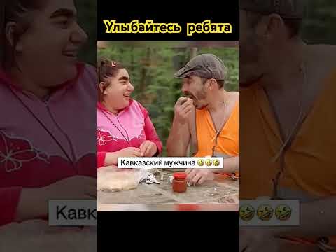 Кавказцы глазами кошки #relax #веселыекоты #cat #shorts #shorts #кошка