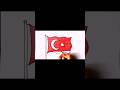 Türk Bayrağı Nasıl Çizilir? Bayrak Çizimi