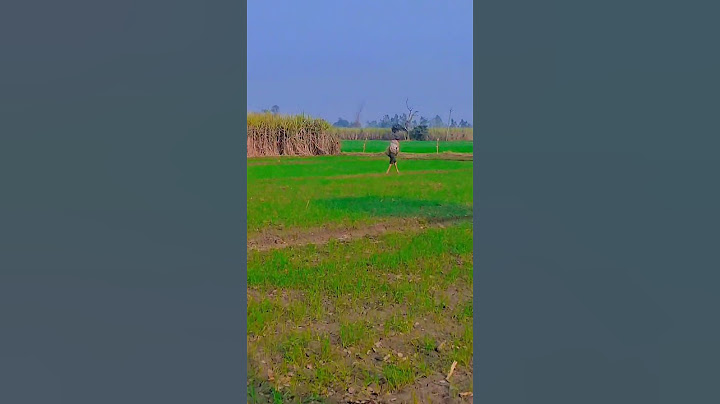 Viral glass ghar me banaya  #scienceandfun #ashusir #experiment #physics #viral #shorts #ytshorts