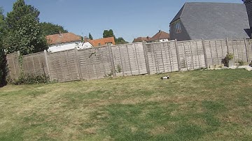 ECX Boost...quick run