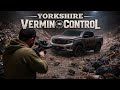 Does ratting from the pickup up work? |hunting |pestcontrol |vermin