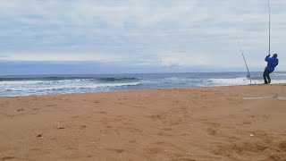 CRAZY Fishing Action On The Surf!! Fishing Of The Bluff, KZN (South Africa).