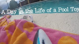 A Day In The Life Of A Pool Toy