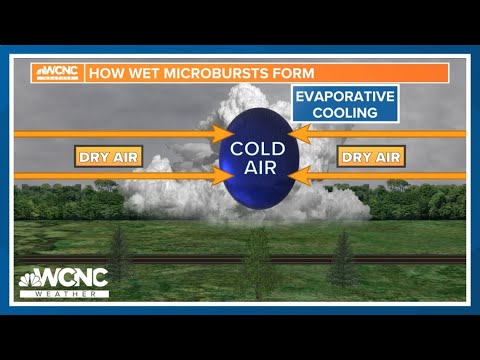 How wet microbursts form