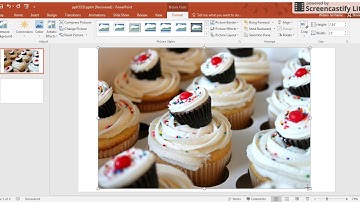 PowerPoint Tips Inserting and Formatting Pictures