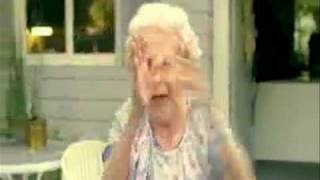 Windy Gap YL Camp Sell pedigree parody