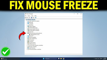 How To Fix Mouse Freezing Every Couple of Seconds