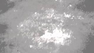 DSC0527