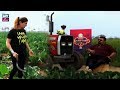 Watch Challenge | Cabbage Harvest | Desi Kuriyan Season 7 | Ahmed Ali Butt Online In HD