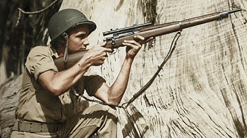 Why One "Amateur" Sniper Eliminated 505 Enemy Soldiers in 100 Days