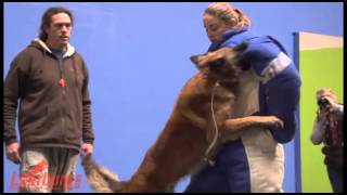 Slow Motion Bite Work 2