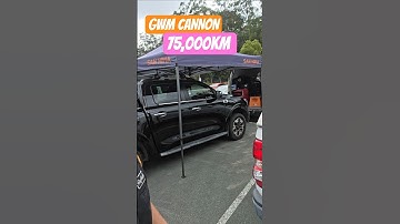 GWM Cannon - Timing Belt out here in the rain aye! 75,000km Service #gwm #cannon #mechanic