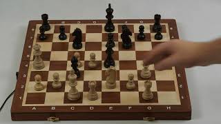 🌈 Mastering Chess with iChessOne: Introducing the Exclusive Beginners Mode! 🧩 screenshot 4