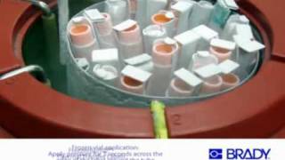 Лабораторная маркировка с помощью этикеток Brady FreezerBondz