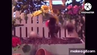 Oobis Umas, Kakos, And Grampus After Watching Oobi, Uma, And Kako Splashing In The Mud On Loop