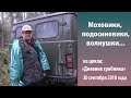 Моховики, подосиновики, волнушки... Дневник грибника 30 сентября 2018 года.