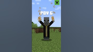 DO YOU KNOW THE POV?