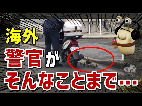 【海外の反応】日本の警察官の取ったある行動に海外「これが日本なんだよ！」～ニュースの森／News Forest