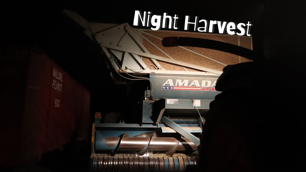 Picking Peanuts in the Dark