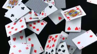 Blood.Bullets and Aesthetics screenshot 2