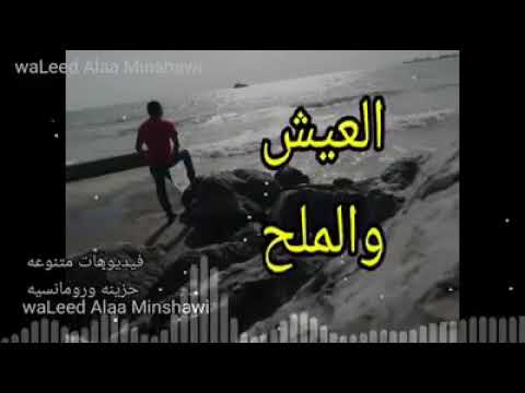 معلش ماهي غلطتي ما هو ده رقتي