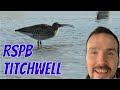 British Wildlife - WADING BIRDS at RSPB Titchwell