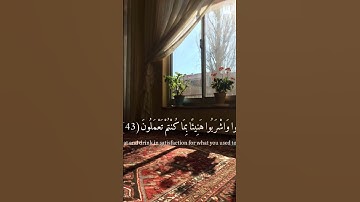 سورة المرسلات الآيه ﴿41 ، 42 ،43﴾ Surat Al Morselat #quran #freepalestine