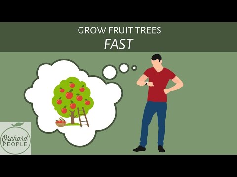 Grow Fruit Trees Fast! Varieties and Best Tree Care Practices