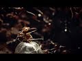 Ants rip queens legs off  empire of the desert ants  bbc earth