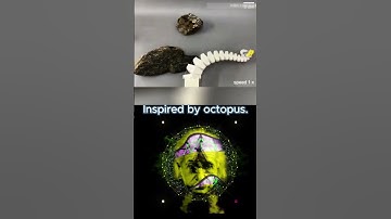 This Robot Moves Like an Octopus! 🤯